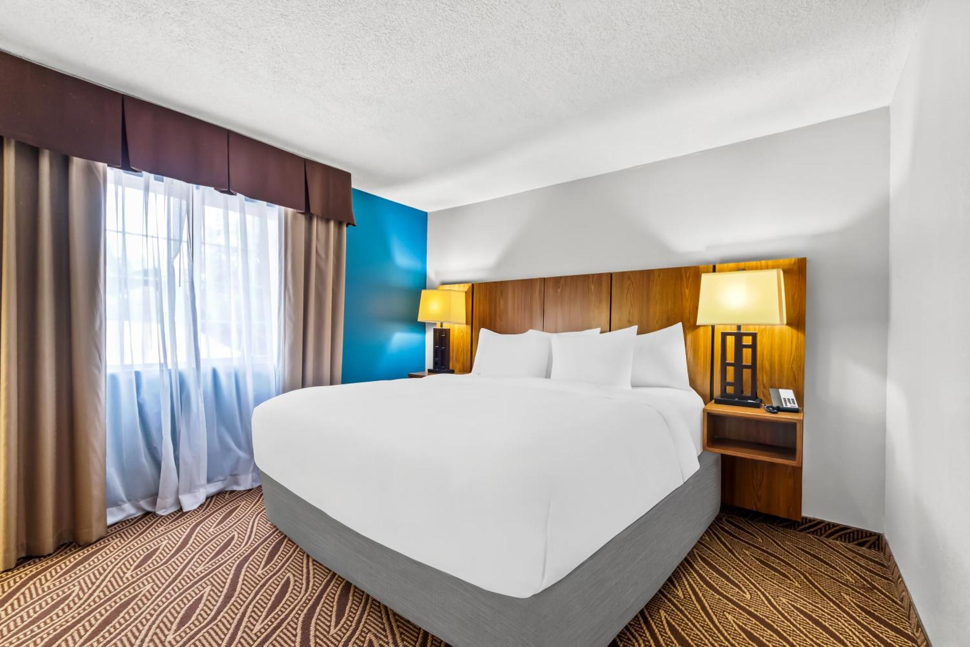 סן אנטוניו Quality Inn & Suites Airport North - Stone Oak מראה חיצוני תמונה